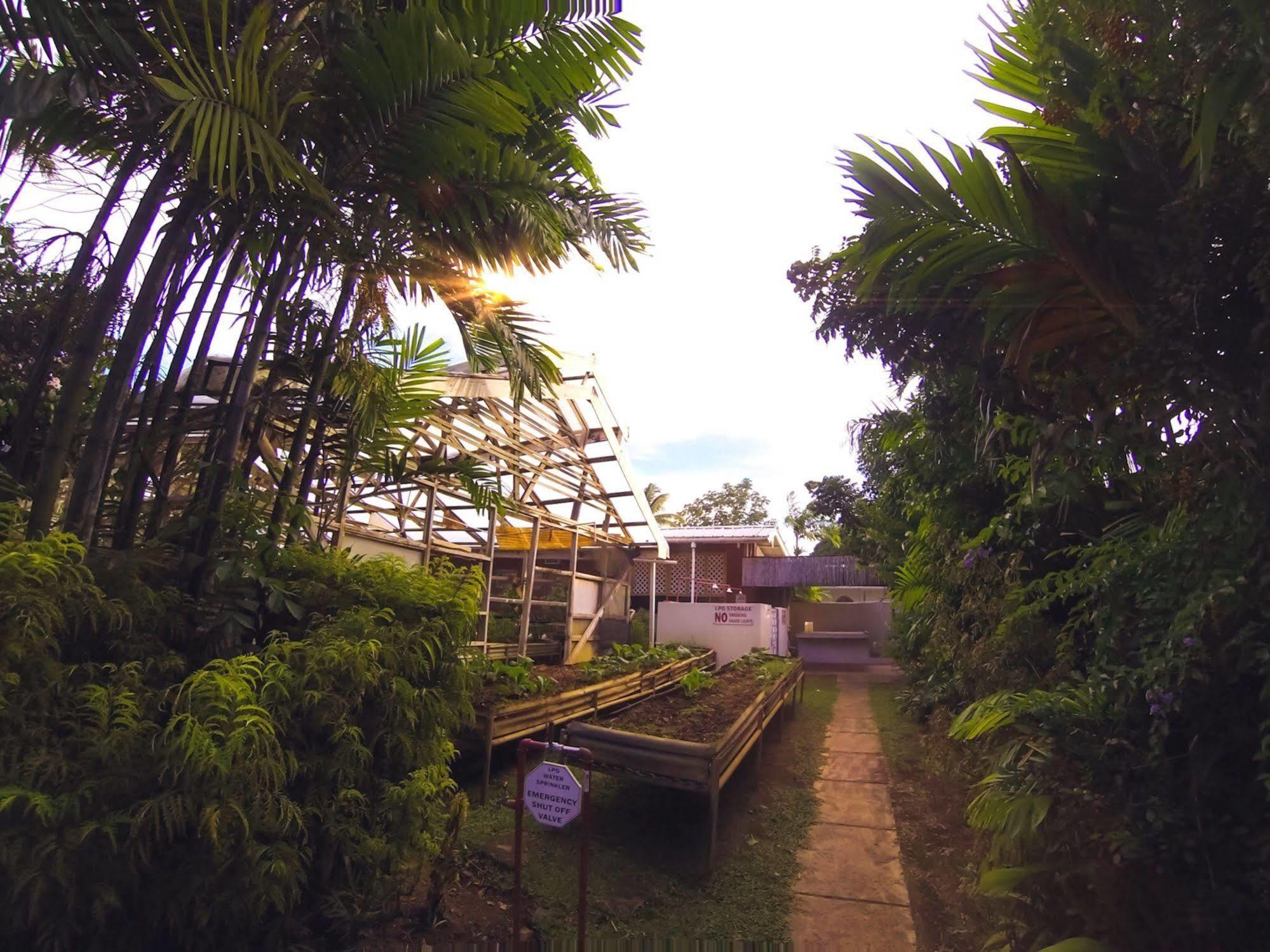 Kariwak Village Holistic Haven Crown Point Eksteriør billede