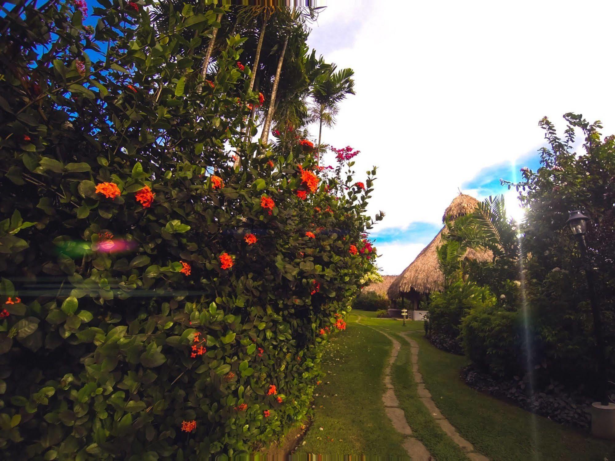 Kariwak Village Holistic Haven Crown Point Eksteriør billede
